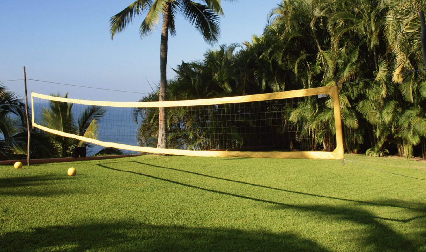 A volleyball and badminton net strung on the lawn beside a palm, with the sea behind