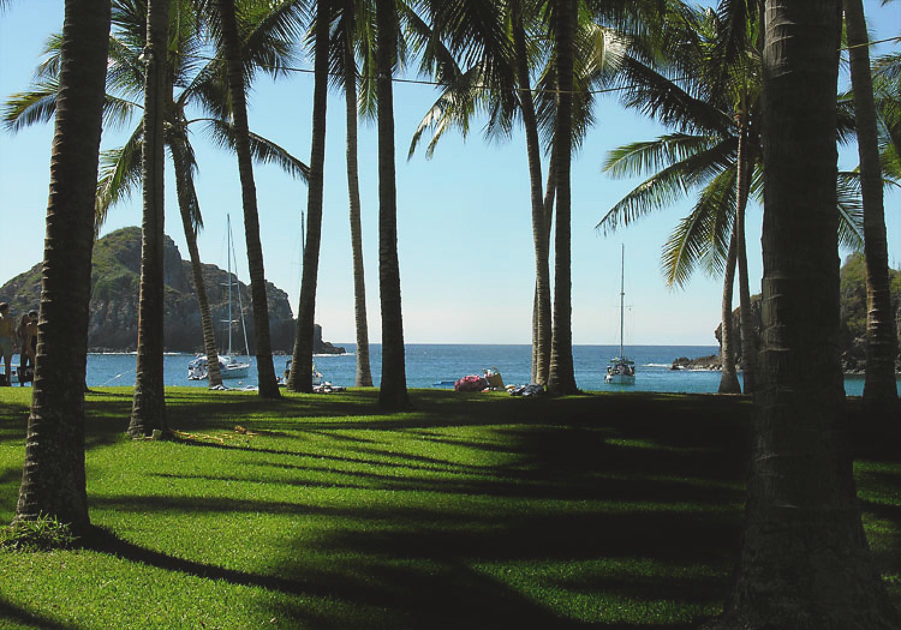 A grove of tall palms and bright green lawn opening onto a blue bay in Careyes