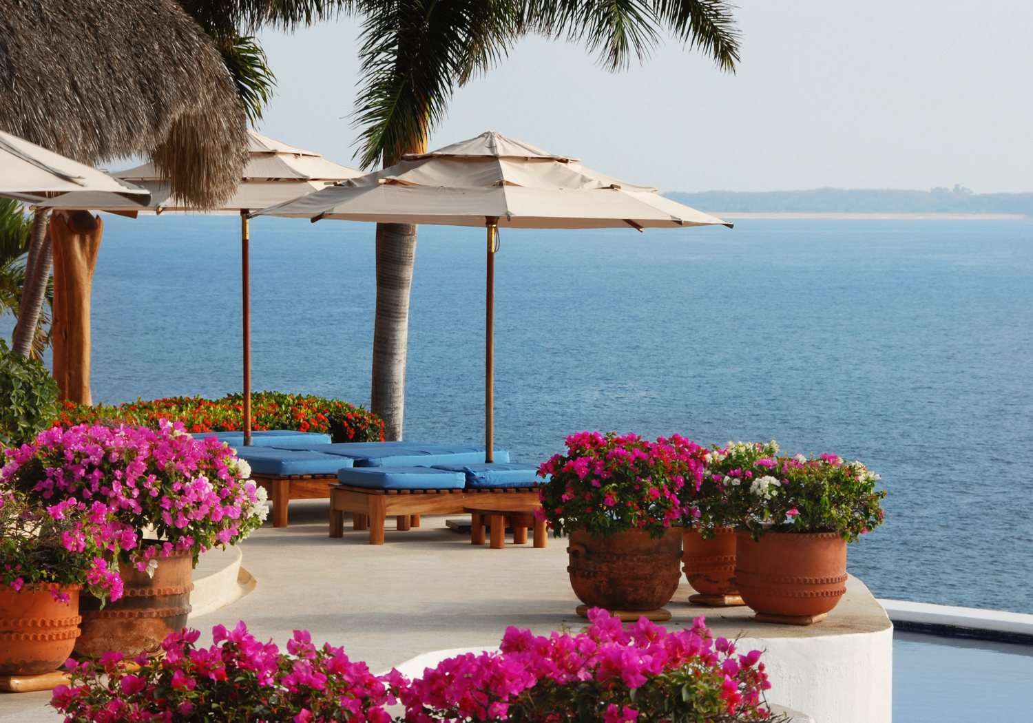 The pool terrace in the morning: umbrellas and blue-cushioned loungers among pots of pink flowers, with the bay beyond