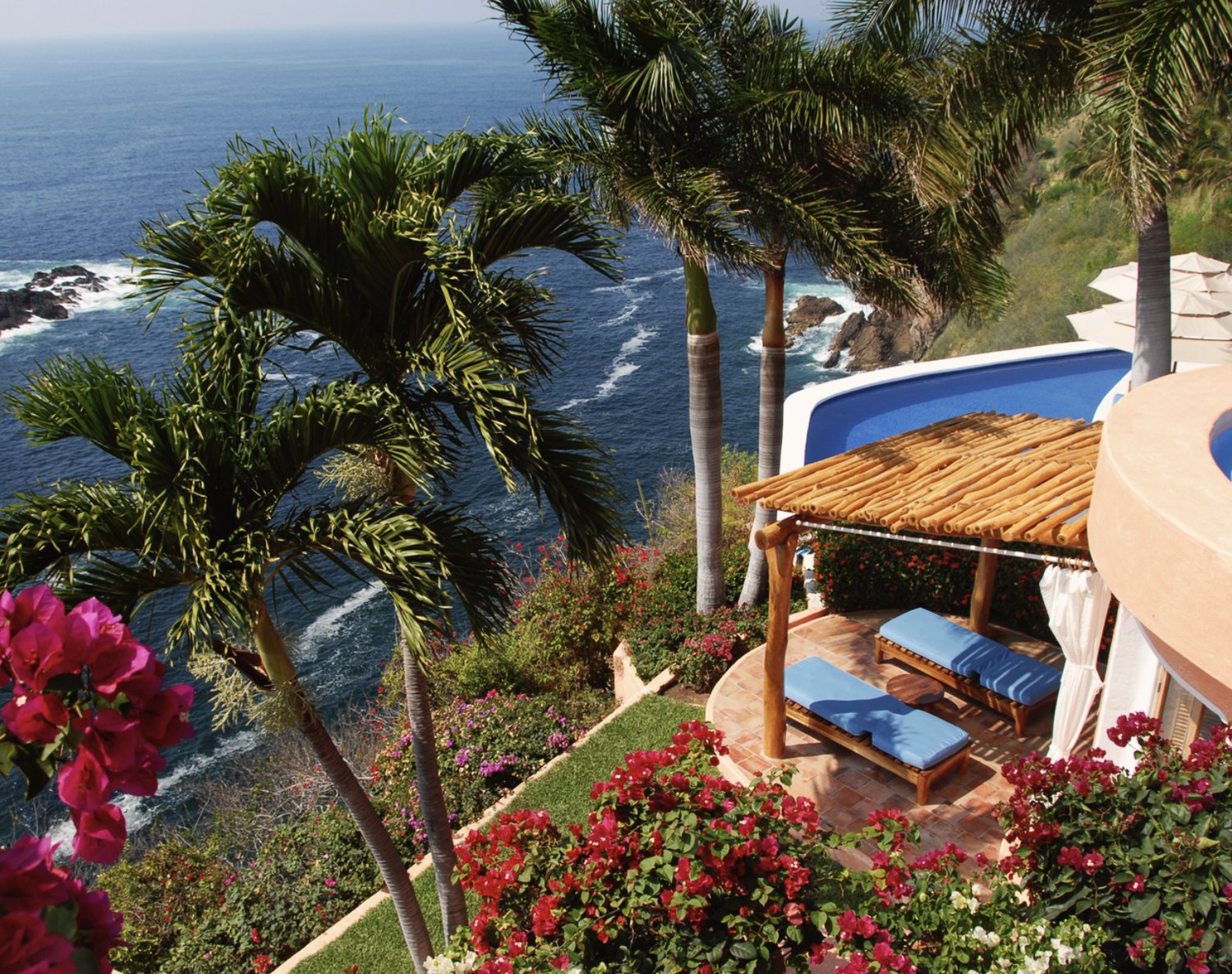 The view from the rooftop: palms and bougainvillea above a shaded terrace with two blue-cushioned loungers, the pool, and rocks in the sea below